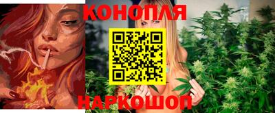 гидра Ноябрьск