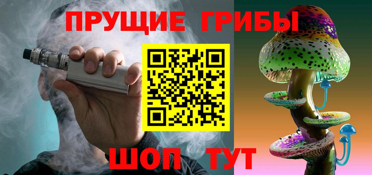 Галлюциногенные грибы Psilocybine cubensis Балашов