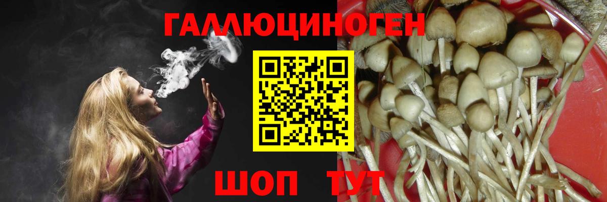 Псилоцибиновые грибы Cubensis  Вход с VPN  Балашов  Галлюциногенные грибы GOLDEN TEACHER 